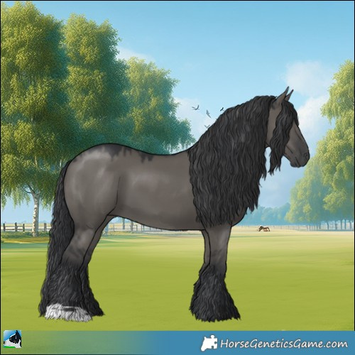 Horse Color:Grullo Mushroom 