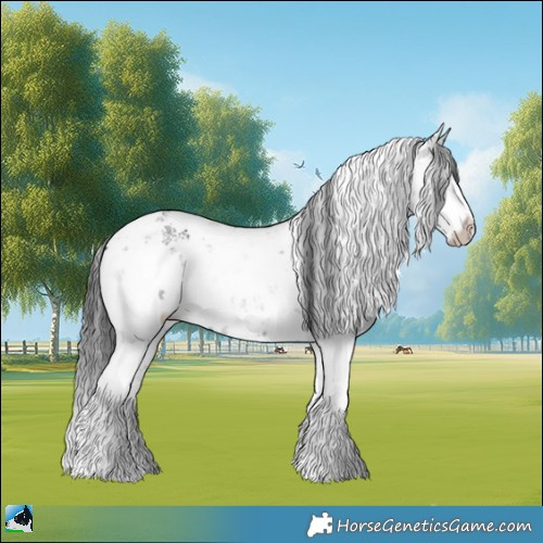 Horse Color:Grullo Mushroom Sabino Brindle 