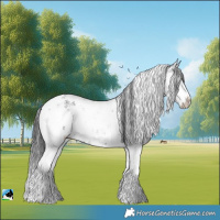 Horse Color:Grullo Mushroom Sabino Brindle