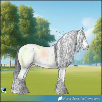 Horse Color:Grullo Mushroom Sabino Rabicano