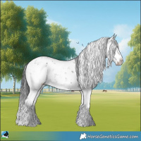 Horse Color:Grullo Mushroom Sabino Rabicano