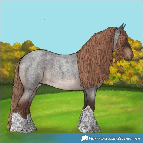 Horse Color:Liver Red Roan Tobiano Rabicano