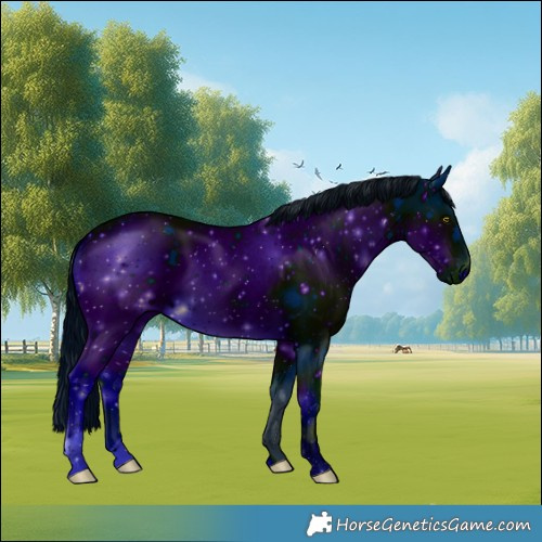 Horse Color:ERROR: UNKNOWN ANOMALY