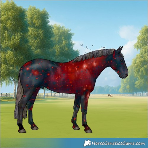 Horse Color:ERROR: UNKNOWN ANOMALY