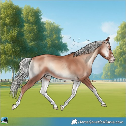 Horse Color:Gold Champagne Onyx Mushroom 