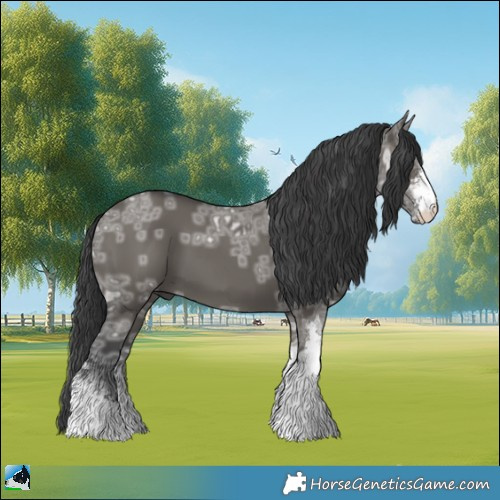 Horse Color:Grullo Ice Mushroom Sabino 