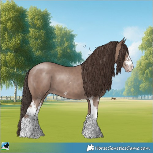Horse Color:Classic Champagne Mushroom Sabino 