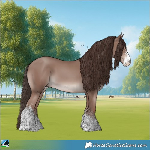 Horse Color:Classic Champagne Mushroom Sabino 