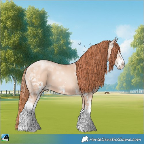 Horse Color:Classic Champagne Ice Pearl Sabino 
