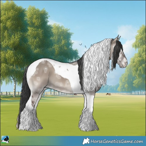 Horse Color:Grullo Ice Onyx Tobiano 