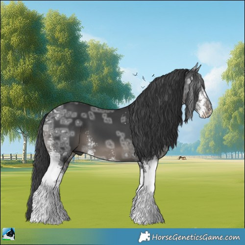 Horse Color:Black Ice Mushroom Sabino 