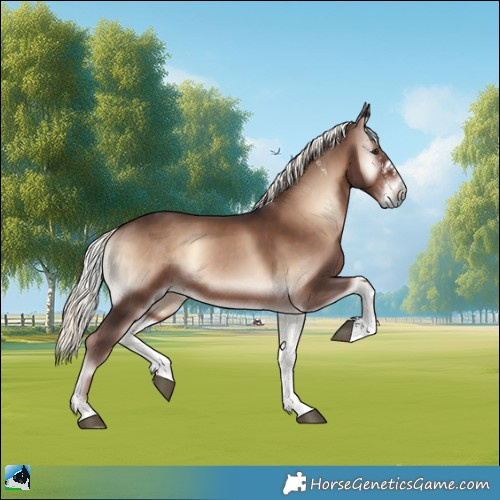 Horse Color:Liver Red Onyx Mushroom Sabino 