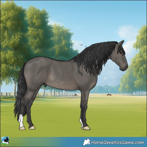 Horse Color:Grullo Mushroom 