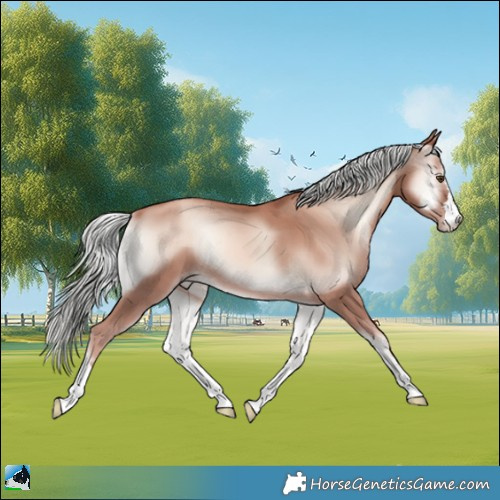 Horse Color:Gold Champagne Onyx Mushroom 