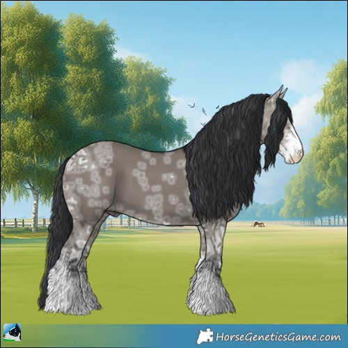 Horse Color:Grullo Ice Sabino 