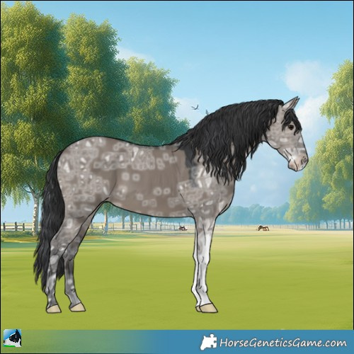 Horse Color:Grullo Ice Mushroom 