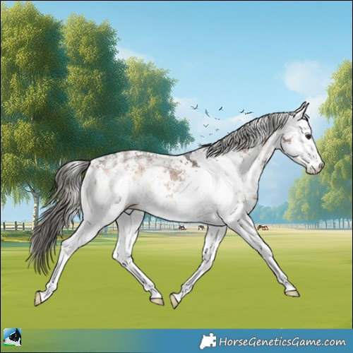 Horse Color:White Spotted Liver Red Onyx Mushroom Sabino Rabicano 