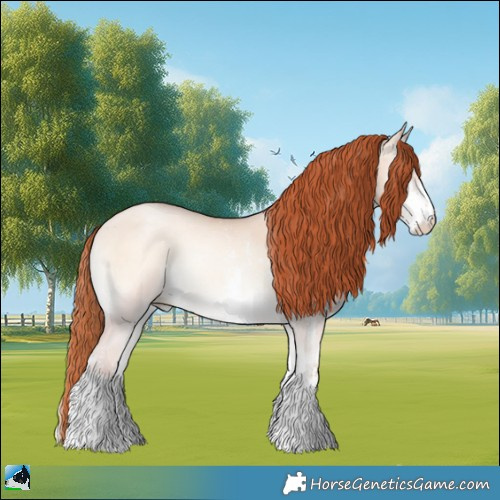 Horse Color:Classic Champagne Pearl Onyx Sabino 