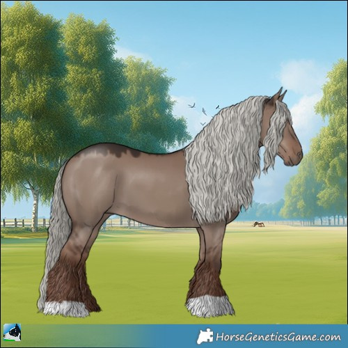 Horse Color:Liver Red Dun Mushroom 