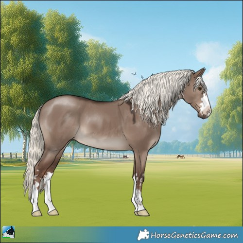 Horse Color:Liver Red Dun Mushroom 