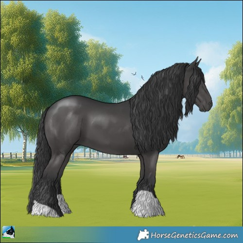 Horse Color:Black Mushroom 