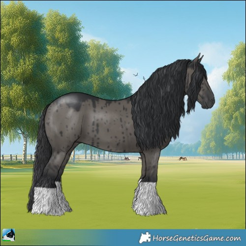 Horse Color:Grullo Mushroom Brindle 