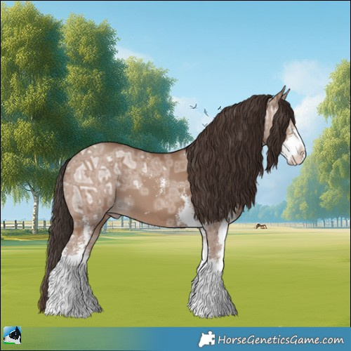 Horse Color:Classic Champagne Ice Sabino 