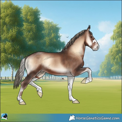 Horse Color:Liver Red Onyx Mushroom 