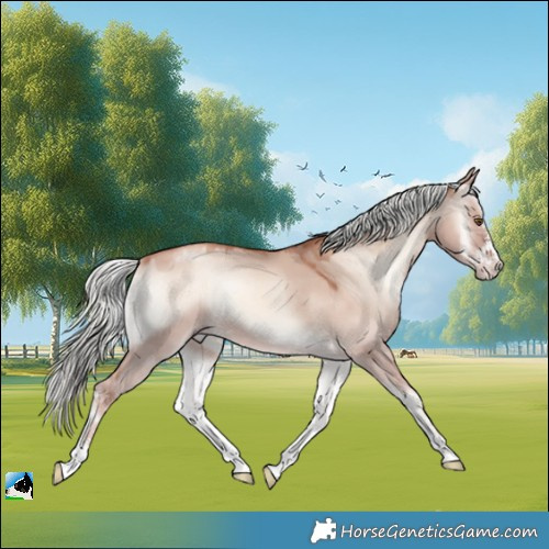 Horse Color:Gold Champagne Onyx Mushroom Sabino 