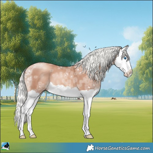 Horse Color:Gold Champagne Ice Mushroom Splash 
