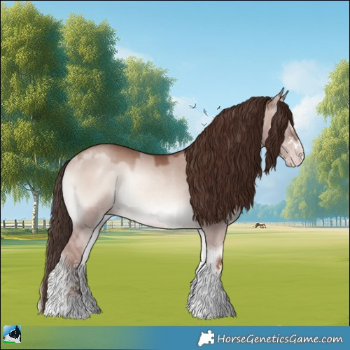 Horse Color:Classic Champagne Onyx Mushroom Sabino Rabicano 