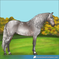 Horse Color:Gray Silver Brown Ice 