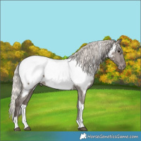 Horse Color:Silver Grullo Tobiano Near Fewspot Rabicano