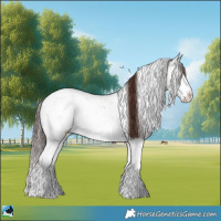 Horse Color:Classic Champagne Onyx Mushroom Sabino 