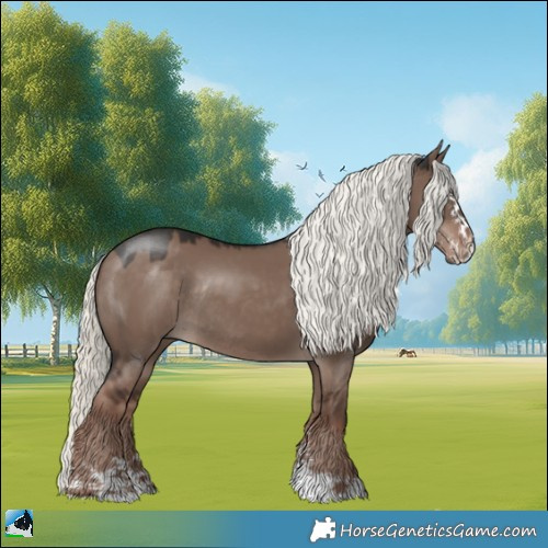 Horse Color:Liver Red Dun Mushroom Sabino Rabicano 