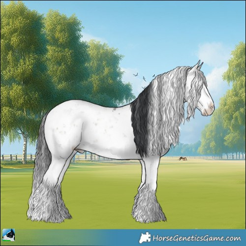 Horse Color:Grullo Onyx Mushroom Sabino Rabicano 