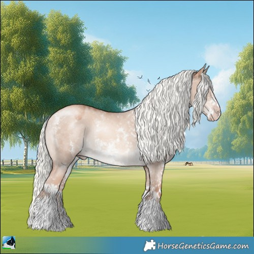 Horse Color:Gold Champagne Dun Mushroom Sabino Rabicano 