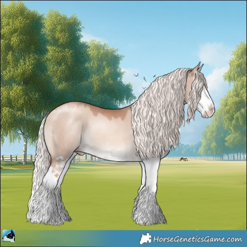 Horse Color:Gold Champagne Dun Mushroom Splash Rabicano 