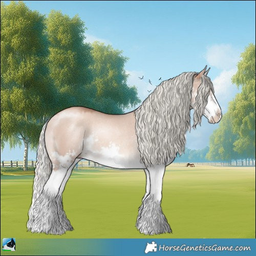 Horse Color:Gold Champagne Dun Mushroom Sabino Splash Rabicano 