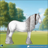 Horse Color:Classic Champagne Onyx Mushroom Sabino 