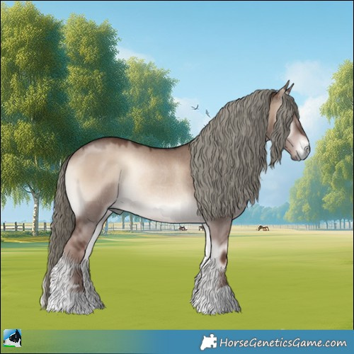 Horse Color:Liver Red Dun Onyx Mushroom Rabicano 