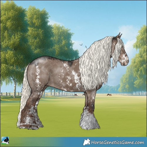 Horse Color:Liver Red Dun Mushroom Sabino 
