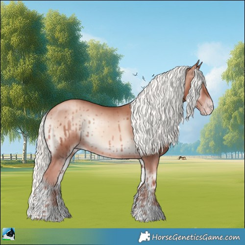 Horse Color:Gold Champagne Onyx Mushroom 