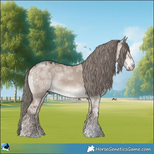 Horse Color:Liver Red Dun Ice Mushroom Sabino Rabicano 