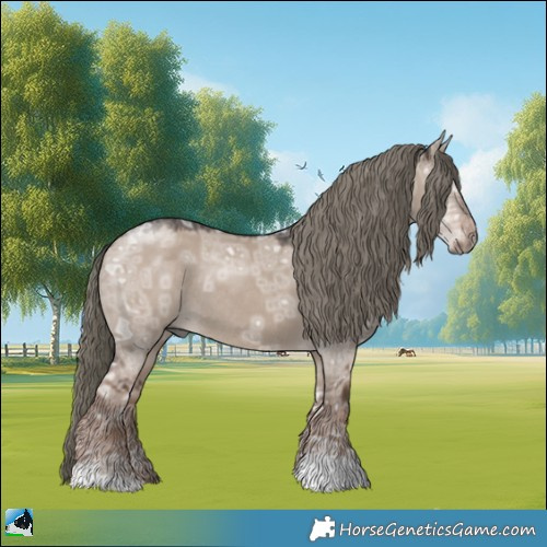 Horse Color:Liver Red Dun Ice Mushroom Rabicano 