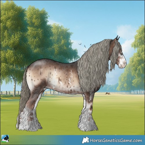 Horse Color:Liver Red Onyx Mushroom Sabino 