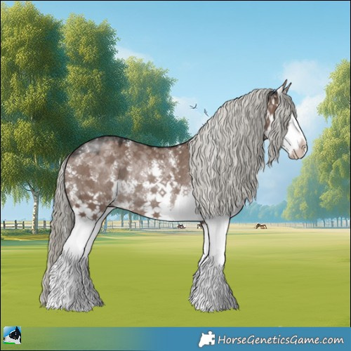 Horse Color:Liver Red Dun Mushroom Sabino Splash Rabicano 