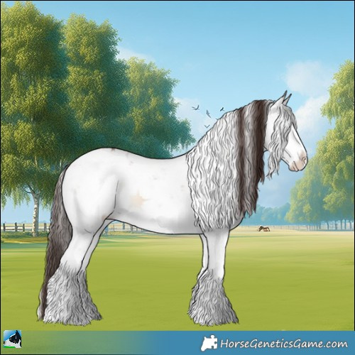 Horse Color:Classic Champagne Onyx Mushroom Sabino Rabicano 