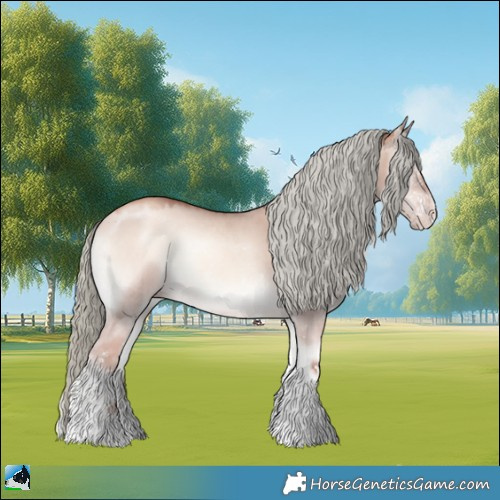 Horse Color:Gold Champagne Onyx Mushroom Sabino Rabicano 