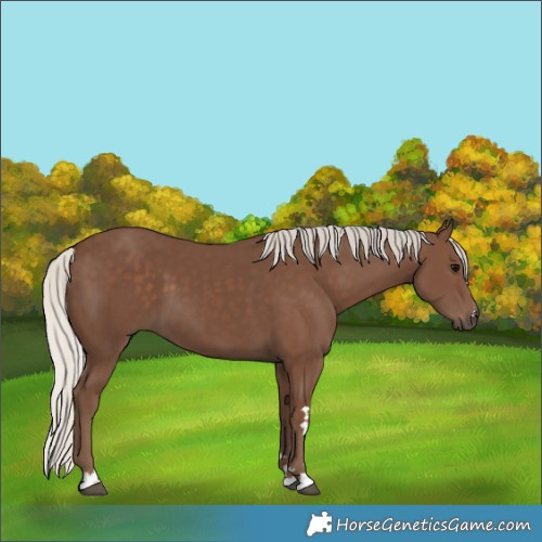 Horse Color:Silver Black